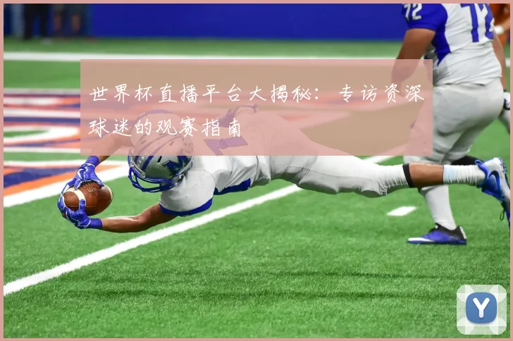 世界杯直播平台大揭秘：专访资深球迷的观赛指南