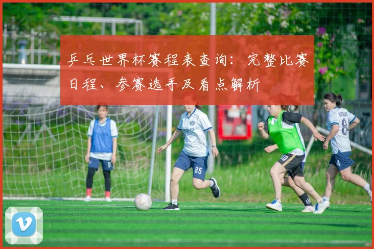 乒乓世界杯赛程表查询：完整比赛日程、参赛选手及看点解析