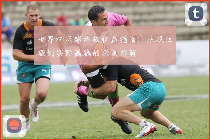 世界杯买球终极收益指南：从投注额到实际赢钱的深度拆解