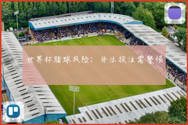 世界杯赌球风险：非法投注需警惕