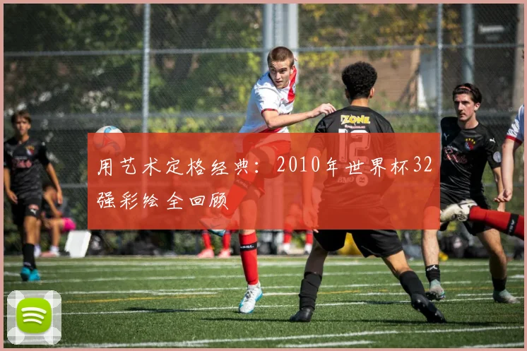 用艺术定格经典：2010年世界杯32强彩绘全回顾