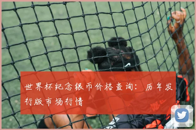 世界杯纪念银币价格查询：历年发行版市场行情