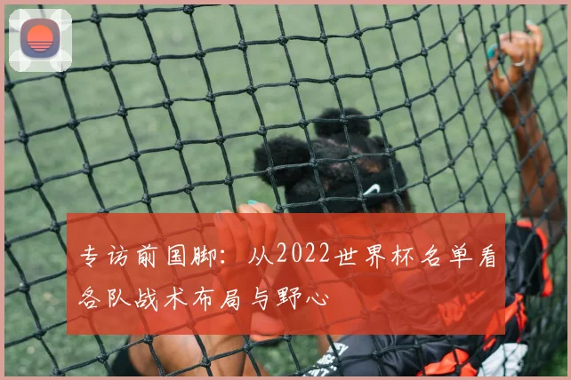 专访前国脚:从2022世界杯名单看各队战术布局与野心