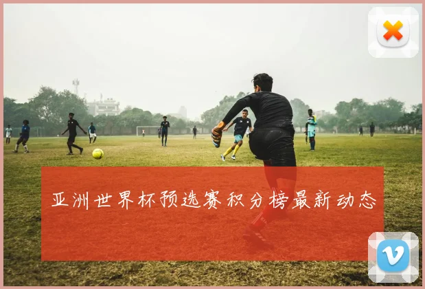 亚洲世界杯预选赛积分榜最新动态