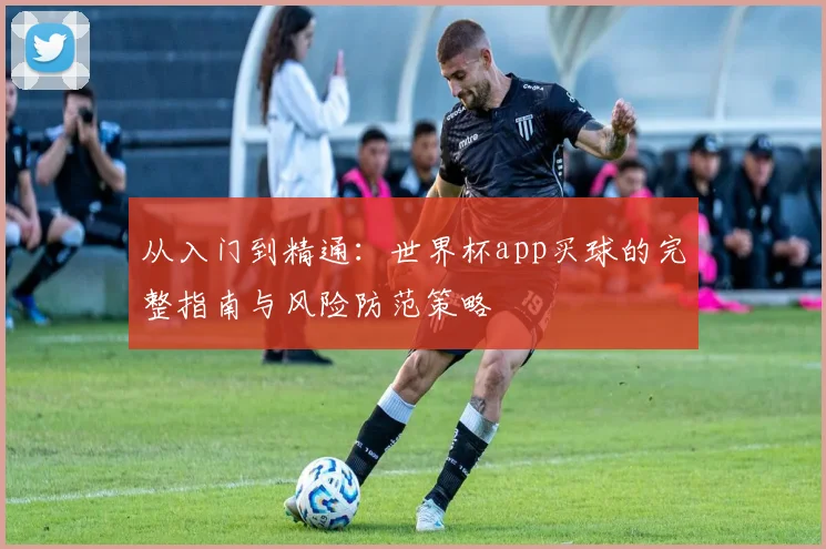 从入门到精通:世界杯app买球的完整指南与风险防范策略