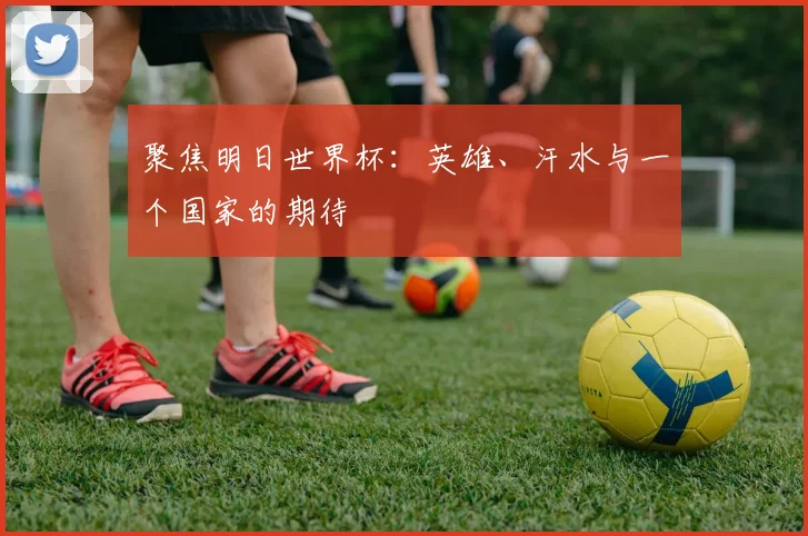 聚焦明日世界杯：英雄、汗水与一个国家的期待