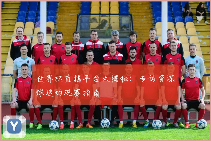 世界杯直播平台大揭秘：专访资深球迷的观赛指南